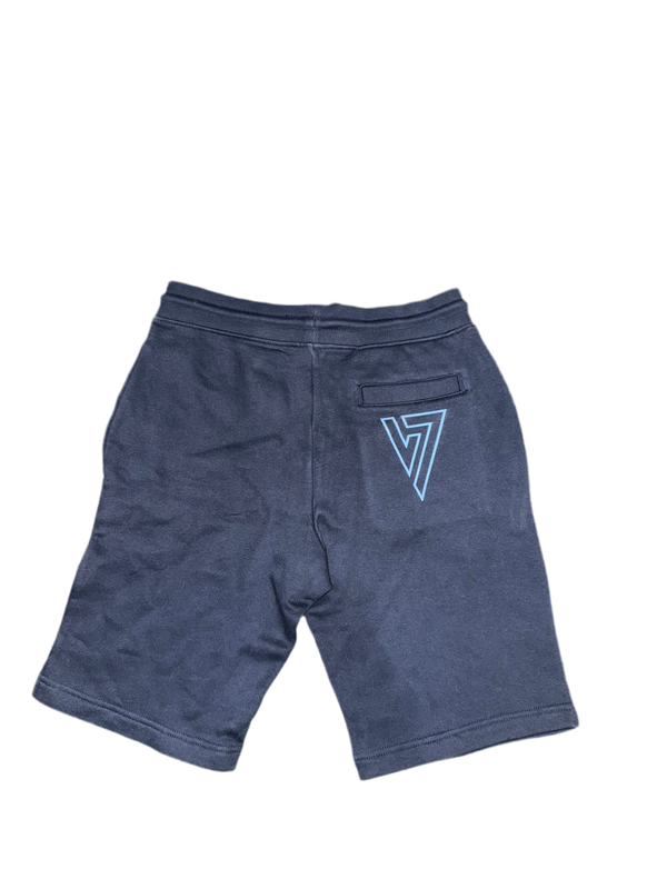 Navy & electric Blue luxury shorts