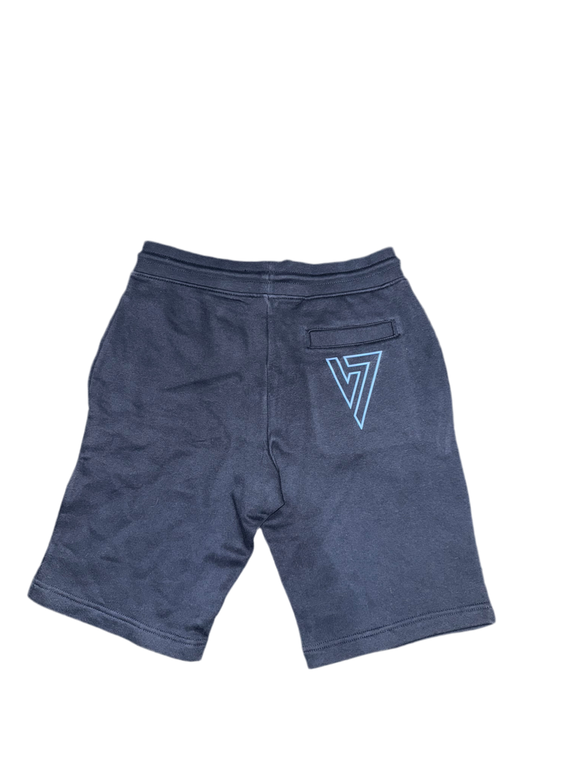 Navy & electric Blue luxury shorts